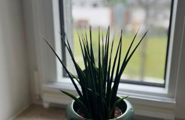 Ruhrperle Apartment 2 Essen - Foto 5