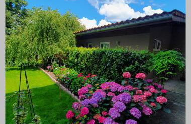 Kolev Apartments - Foto 11