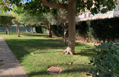 Encantador Apartamento Torrevieja Playa - Foto 18