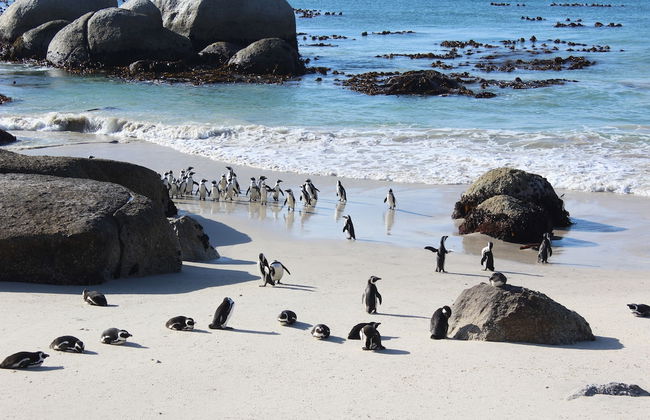 Boulders Beach House - Foto 11