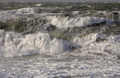 FeWo Dierhagen - Zwischen den Wassern - Ostsee und Bodden - Foto 19