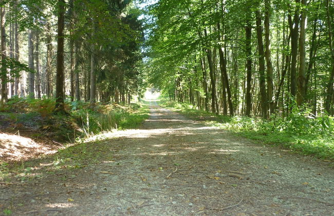 La Grange de David - Foto 51