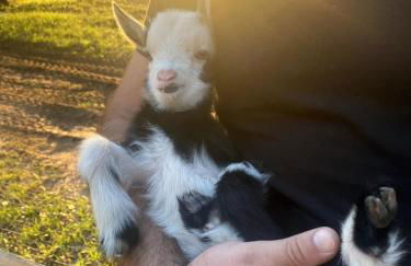 Relaxing Modern stay on a Ranch - Foto 42