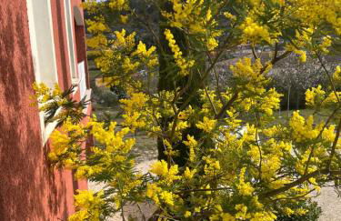 Le Gîte du vigneron - Foto 14