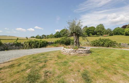 Old Watermill - Foto 36