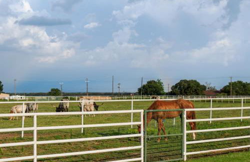 Newly Renovated Private Ranch Get-A-Way - Photo 64