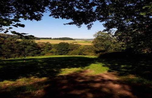 Apartment in Twistetal Oberwaroldern - Photo 48