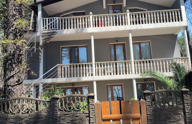 House by the sea Kaprovani Shekvetili Batumi - Photo 31