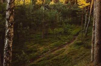 Boho Sfera - Foto 49