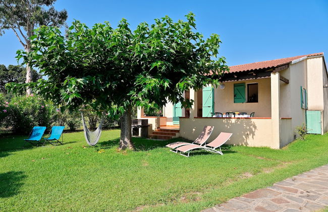 Pinea Mare - Foto 27