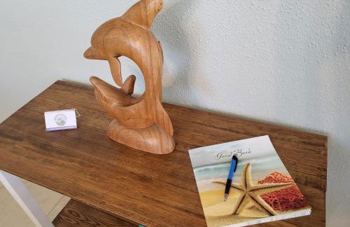 Paddle in the sunset with Manatee - Foto 9