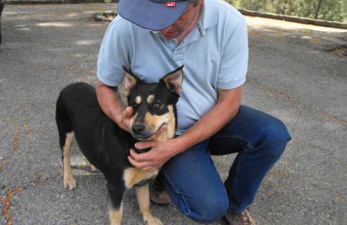 A casa do Moinho - Foto 20