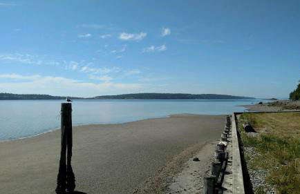 Wolf Beach Cottage by Avantstay Harbor Views - Photo 64