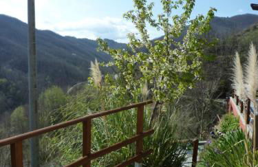 Fraseneggi - Foto 13