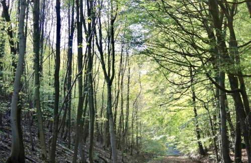 Exklusives Wohnen am Stadtpark - Foto 19