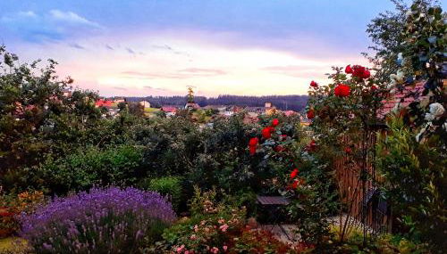 Ferienwohnung Zebrowski - Foto 4, Garden