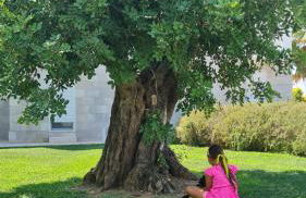 I MESTRI Holiday Homes - Foto 16