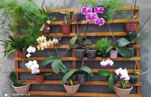 RECANTO RAVI - Foto 33