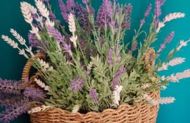 Odori di zagara - Foto 28