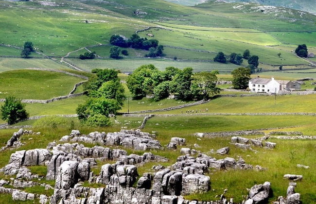 The Stables - Foto 12