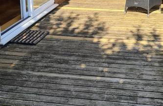 Orchard Cottage - Foto 3