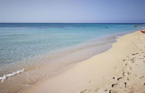 Sapore di Puglia - 140 mt dal mare - Foto 45