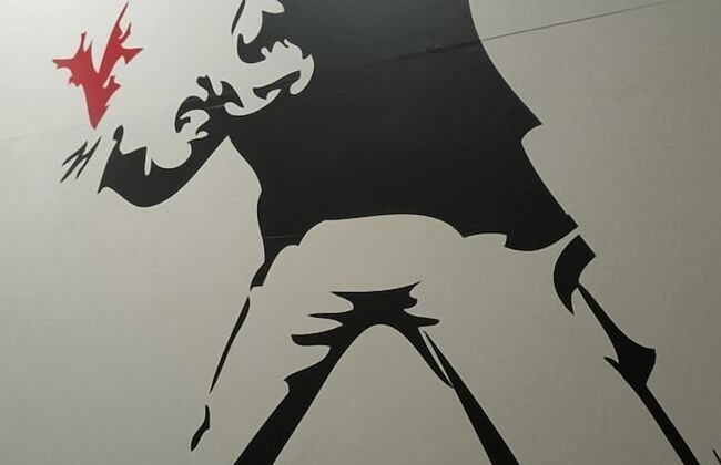 Floris Guest House Milan - Foto 31