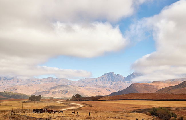 Bergview Farm Cottages by First Private Stays - Photo 33