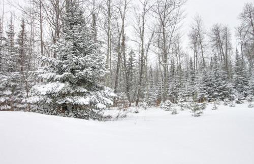 Ice Fishing on South Fork Lake Nashwauk Studio! - Foto 20