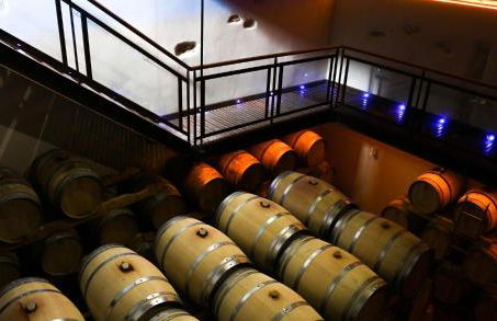 Au coeur des vignes, à deux pas de la mer - Foto 8