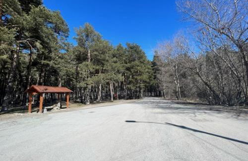 Bolla's House - Photo 15