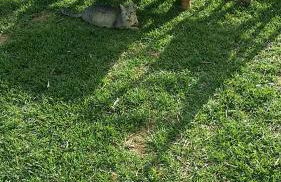 Villa Miranda - Foto 25