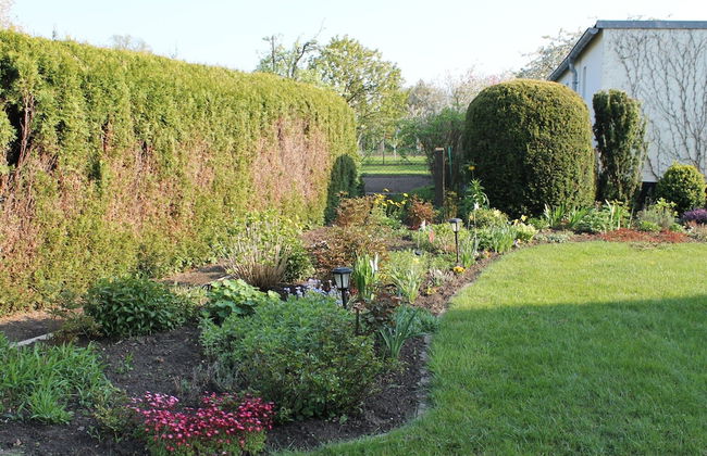 Wohnung mit Grossem Garten an der Ostseekuste - Foto 18