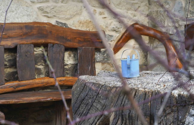 A parada das bestas - Foto 22