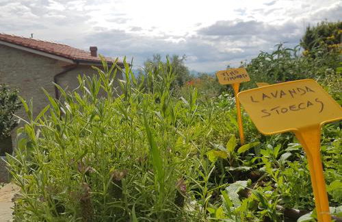 Il Fienile de La Cavallina - Foto 46