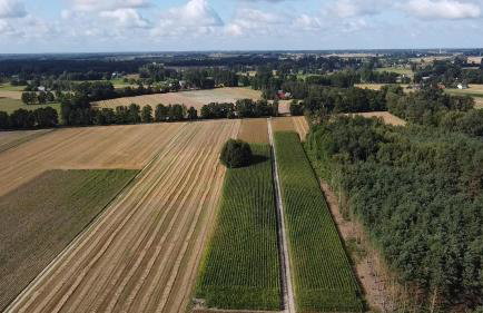 Maciejówka Gospodarstwo Agroturystyczne - Foto 34