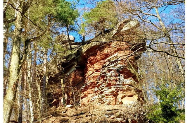 Holiday Home Kobel Comfortable Vacation Home - Foto 13