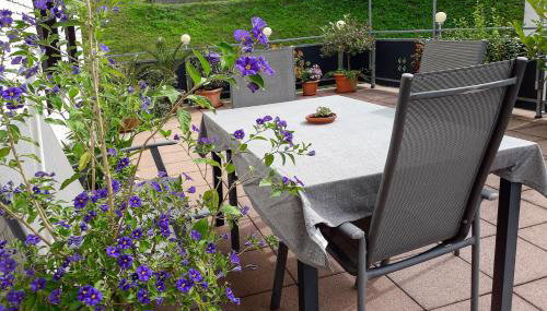 Heidi Kimmig - Foto 2