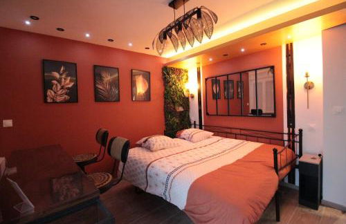 Luxury Studio, Rez de chaussée, Parking privé vidéo surveillance, Canapé haute qualité convertible couchage 2 personnes, Centre Ville proche, Restaurant, boulangerie 2 minutes à pied, Terrasse - 800mètre carré de terrain - Géré par Presta-Zen'Services - Foto 15