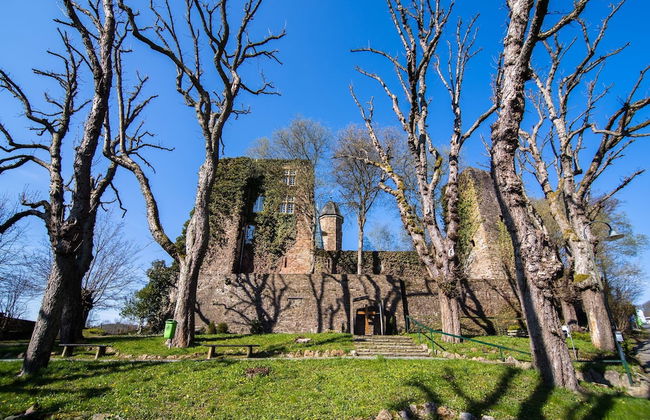 Eifel Nationalpark Grand Lodge - Foto 29