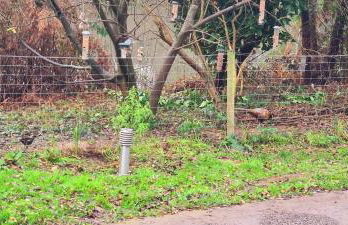 Astbury Falls Luxury Retreats - Foto 10