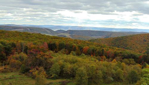 Secluded Mountain Cabin in Wardensville! - Foto 2