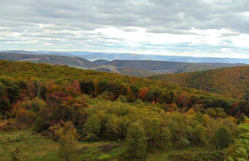 Secluded Mountain Cabin in Wardensville! - Foto 2