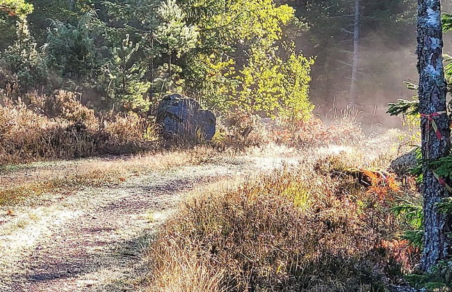 5 Person Holiday Home in Gamleby-by Traum - Photo 20