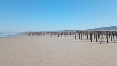 Au bord des Dunes - Foto 4