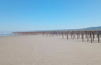 Au bord des Dunes - Foto 4