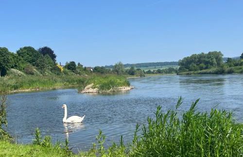 FeWo Weserblick - Foto 20