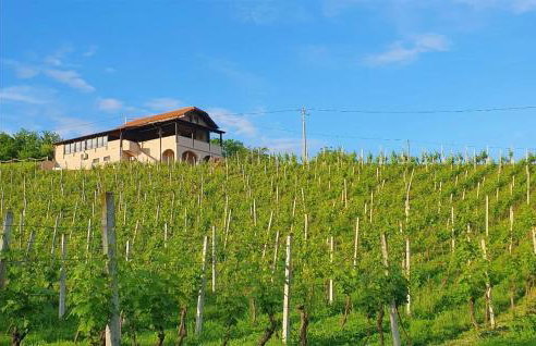 Cozy Home In Maglenca With Sauna - Foto 45