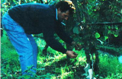 Agriturismo Podere dei kiwi - Foto 36