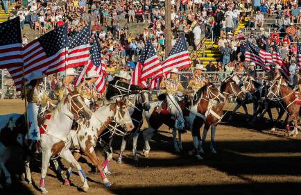 Folsom Old Town Escape • Cozy Cottage + Library - Foto 34